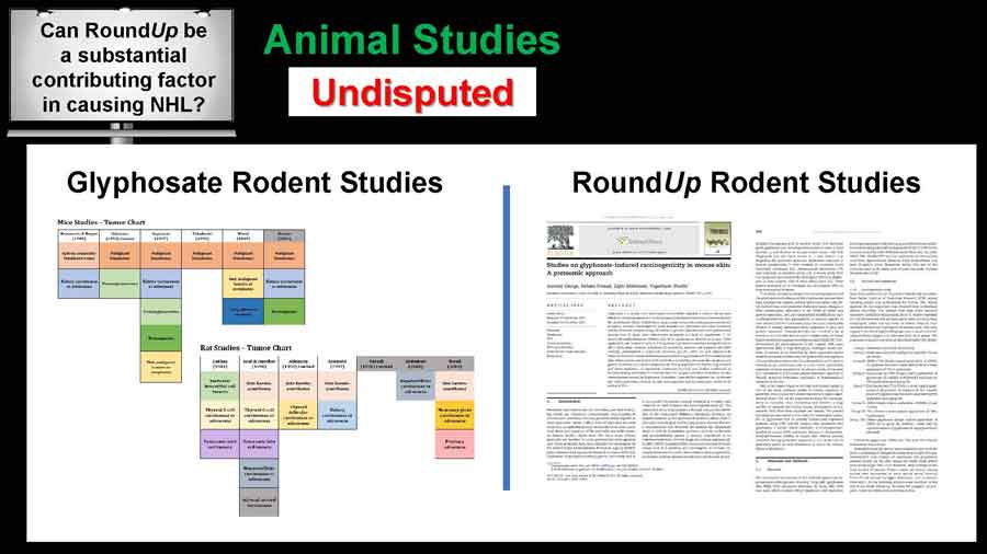 Glyphosate Rodent Studies table with RoundUp Rodent Studies document